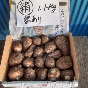 訳あり❣特選絹芋(里芋)　「コンパクト箱に入るだけ」　