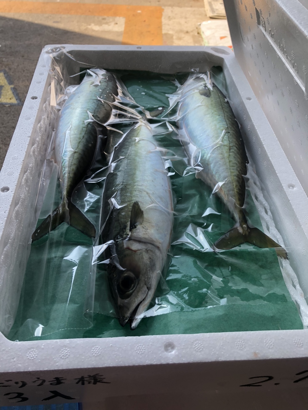 市場 むじょかサバ 鮮魚 活け締め 養殖サバ 真空パック 活魚 ブランドサバ 極上 鯖 神経抜き 1尾 さば むじょか カット加工