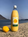 【農薬不使用】瀬戸内レモンのレモン果汁100％（無添加）1000ml×2本