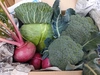  【旬の新鮮野菜】笑顔あふれる野菜BOX 3種類以上