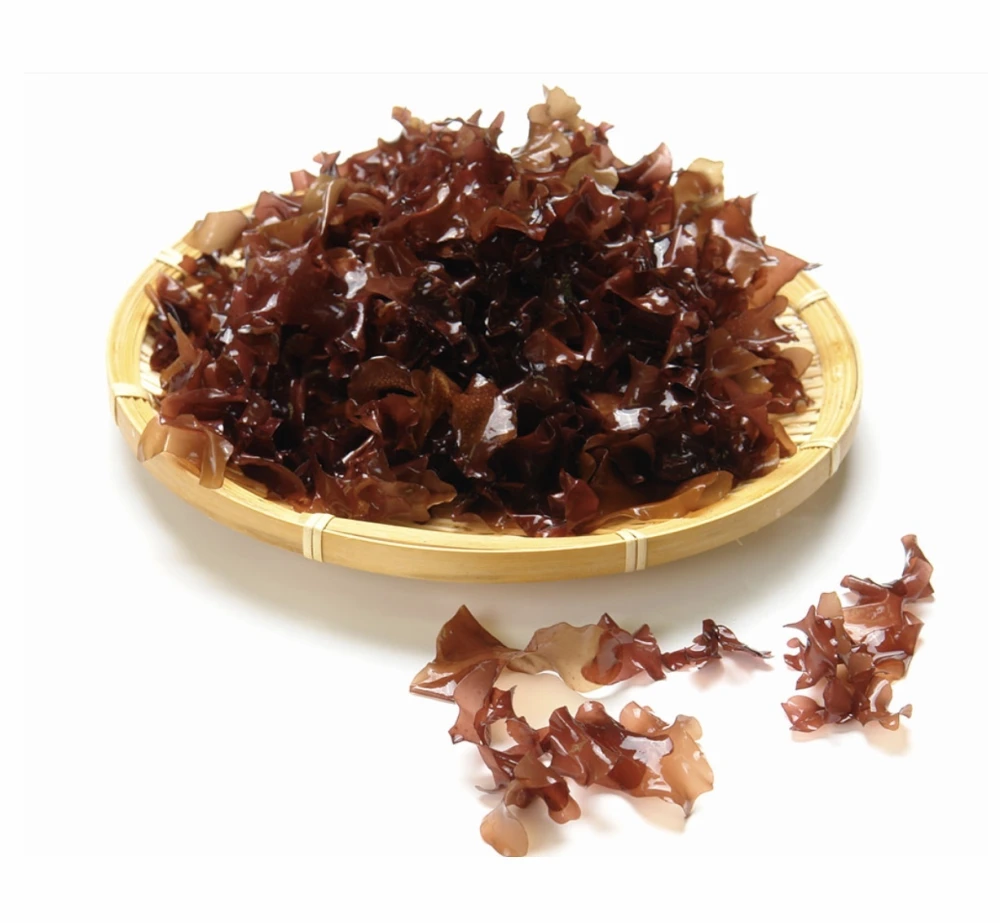 【送料無料】銀杏藻（ぎんなんそう）北海道産　1袋30g〜