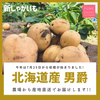 【北海道産】掘りたて新じゃが【男爵いも】