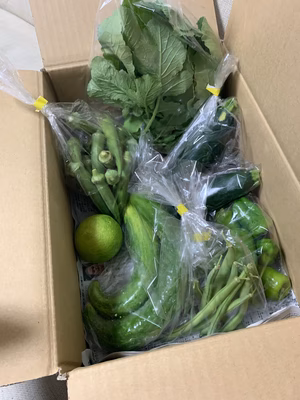 みんなの投稿の画像