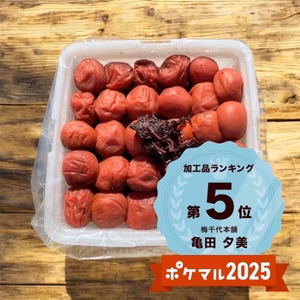 【和歌山県特別栽培】 しそ梅干 紀州南高梅 わけあり 農家直送　