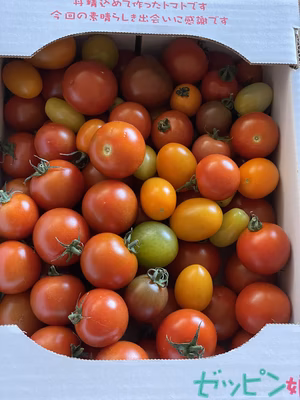 みんなの投稿の画像