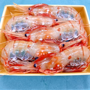 【-60冷凍】デカい！甘い！ブリブリ子持ちボタンエビ500g〜