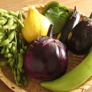 【えびな産】ちょっと変わった夏野菜の詰め合わせ2kg