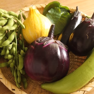 【えびな産】ちょっと変わった夏野菜の詰め合わせ