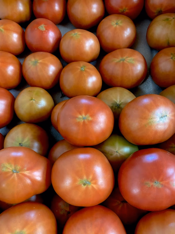 【お買い得】家庭用リサ・フルーツトマト1kg