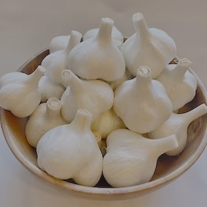 農薬化学肥料不使用　ニンニク　『福地ホワイト』1kg　サイズ混合