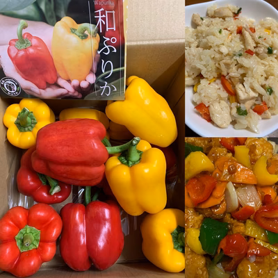 みんなの投稿の画像