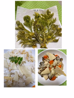 みんなの投稿の画像