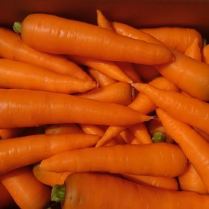 無農薬・無肥料人参甘いよ！10ｋｇ