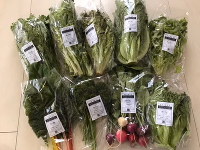 みんなの投稿の画像