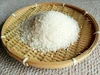 【ありがとう】無肥料・無農薬　自然栽培米「神の力」5㎏白米コシヒカリ