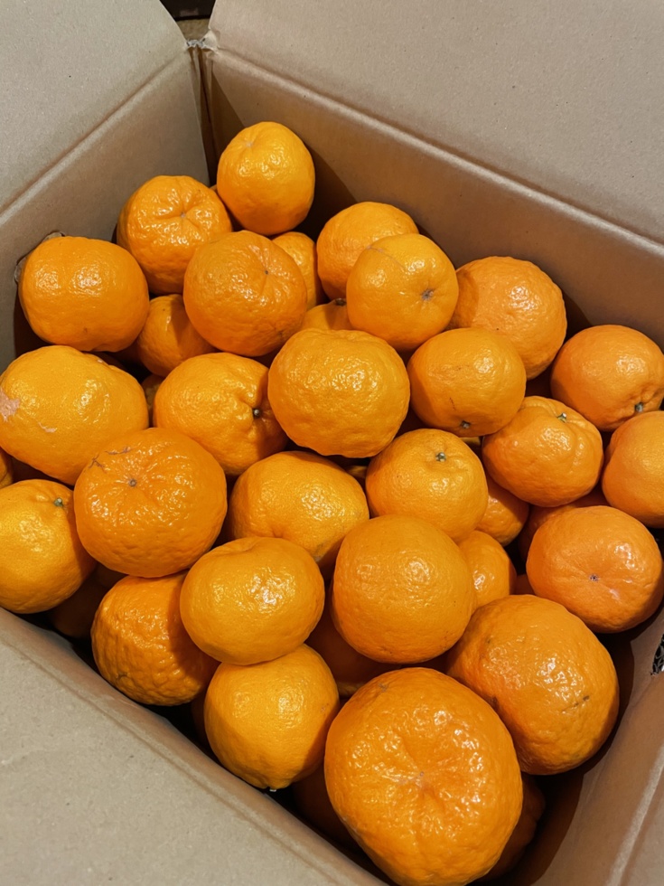 愛媛県産みかんジュース4種詰合わせ｜加工食品の商品詳細｜ポケット 