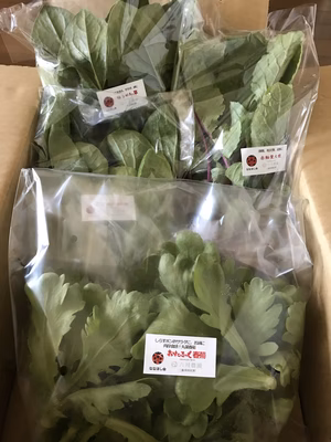 みんなの投稿の画像