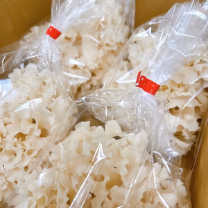 はなびらたけ【大容量】お鍋を華やかに☆