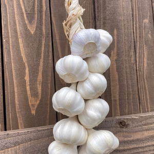 にんにくブレイド(編み込み)