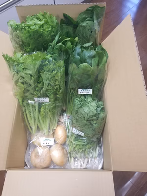 みんなの投稿の画像