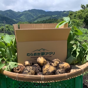 【１人１回だけの特別品】兵庫県但馬産新じゃが　きたあかり２kg