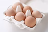 贅沢4種食べ比べ！名古屋コーチン＆アローカナ＆赤卵＆白卵の36個セット