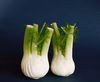 さわやかな香りの万能野菜　京都産フェンネル