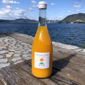 岩城島の丸搾りみかんジュース