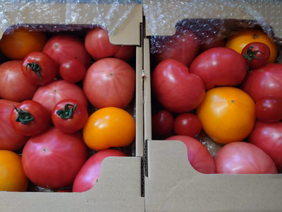 みんなの投稿の画像