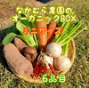 【ミニサイズ】なかむら農園のオーガニックBOX野菜6品