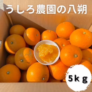 スッキリ爽やかな淡路島うしろ農園のはっさく