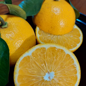 自慢の八朔『小玉サイズ』3kg（箱込）送料無料80