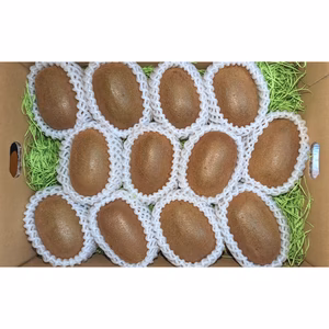 国産 キウイ フルーツ 贈答用 12個入 ヘイワード種 （グリーンキウイ） 