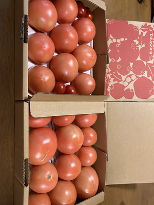 みんなの投稿の画像