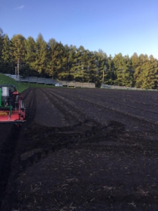 14522727_918976968207576_8239243965967395622_n