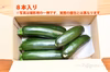化学農薬不使用・赤城のズッキーニ！
