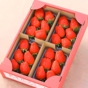 【12月予約】【お歳暮】4種類食べ比べ いちごのテーマパーク280ｇ4パック