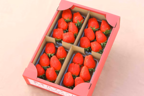 【1月予約】厳選4種類食べ比べ その日美味しい品種発送280ｇ×4