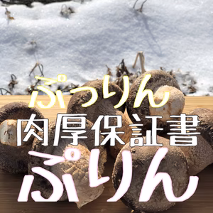 最高級asamaぷっりんぷりんシイタケ