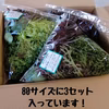 【 定期便 月2回 】湧水の恵みっくす(サラダセット)