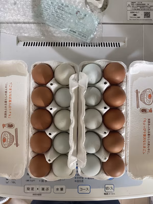 みんなの投稿の画像