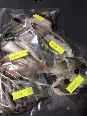 みんなの投稿の画像