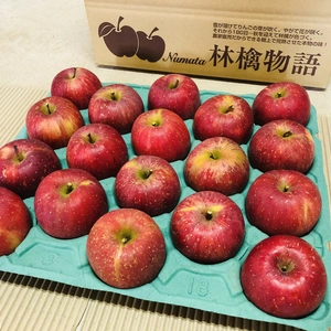 ⭐︎送料無料【数量限定】リンゴ品種「高橋系ふじ」18個　約5kg