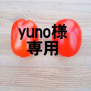 yuno様専用