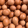 国産赤たまご40個Lサイズ【飼育期間中ホルモン剤、抗生剤不使用】破損保証2個含む