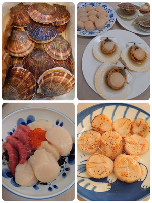 みんなの投稿の画像