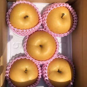 豊水梨又は秋月梨約2キロ(4～7玉)