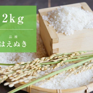 【新米/はえぬき/特別栽培米】心を込めて作りました♪山形県産はえぬき精米2kg