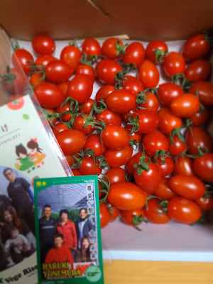 みんなの投稿の画像