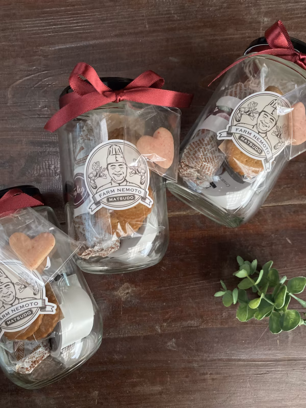 【フィグログ瓶